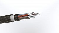 Кабель АКПВГ 10х6